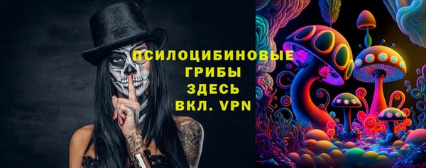 сатива Магадан