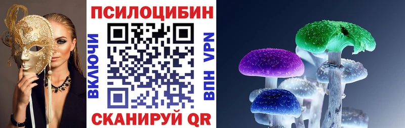 Псилоцибиновые грибы прущие грибы  Тимашёвск 